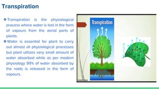 Transpiration
❖Transpiration is the physiological
process where water is lost in the form
of vapours from the aerial parts of
plants.
❖Water is essential for plant to carry
out almost all physiological processes
but plant utilizes very small amount of
water absorbed while as per modern
physiology 99% of water absorbed by
the roots is released in the form of
vapours.
 