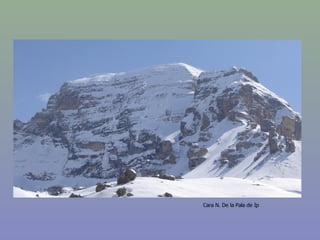 Cara N. De la Pala de Ip 