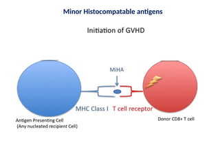 transplantation .pptx mechanisms of graft rejection | PPTX