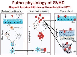 transplantation .pptx mechanisms of graft rejection | PPTX