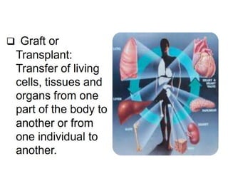 transplantation .pptx mechanisms of graft rejection | PPTX