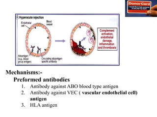 Mechanisms:-
Preformed antibodies
1. Antibody against ABO blood type antigen
2. Antibody against VEC ( vascular endothelial cell)
antigen
3. HLA antigen
 