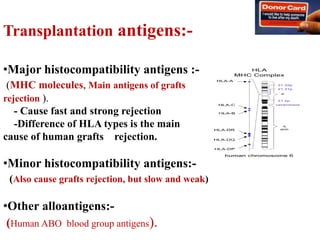 Transplantation antigens:-
•Major histocompatibility antigens :-
(MHC molecules, Main antigens of grafts
rejection ).
- Cause fast and strong rejection
-Difference of HLA types is the main
cause of human grafts rejection.
•Minor histocompatibility antigens:-
(Also cause grafts rejection, but slow and weak)
•Other alloantigens:-
(Human ABO blood group antigens).
 