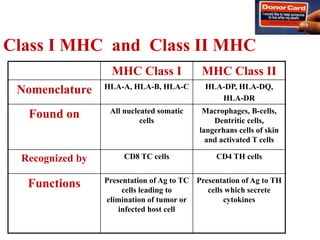 Class I MHC and Class II MHC
MHC Class I MHC Class II
Nomenclature HLA-A, HLA-B, HLA-C HLA-DP, HLA-DQ,
HLA-DR
Found on All nucleated somatic
cells
Macrophages, B-cells,
Dentritic cells,
langerhans cells of skin
and activated T cells
Recognized by CD8 TC cells CD4 TH cells
Functions Presentation of Ag to TC
cells leading to
elimination of tumor or
infected host cell
Presentation of Ag to TH
cells which secrete
cytokines
 