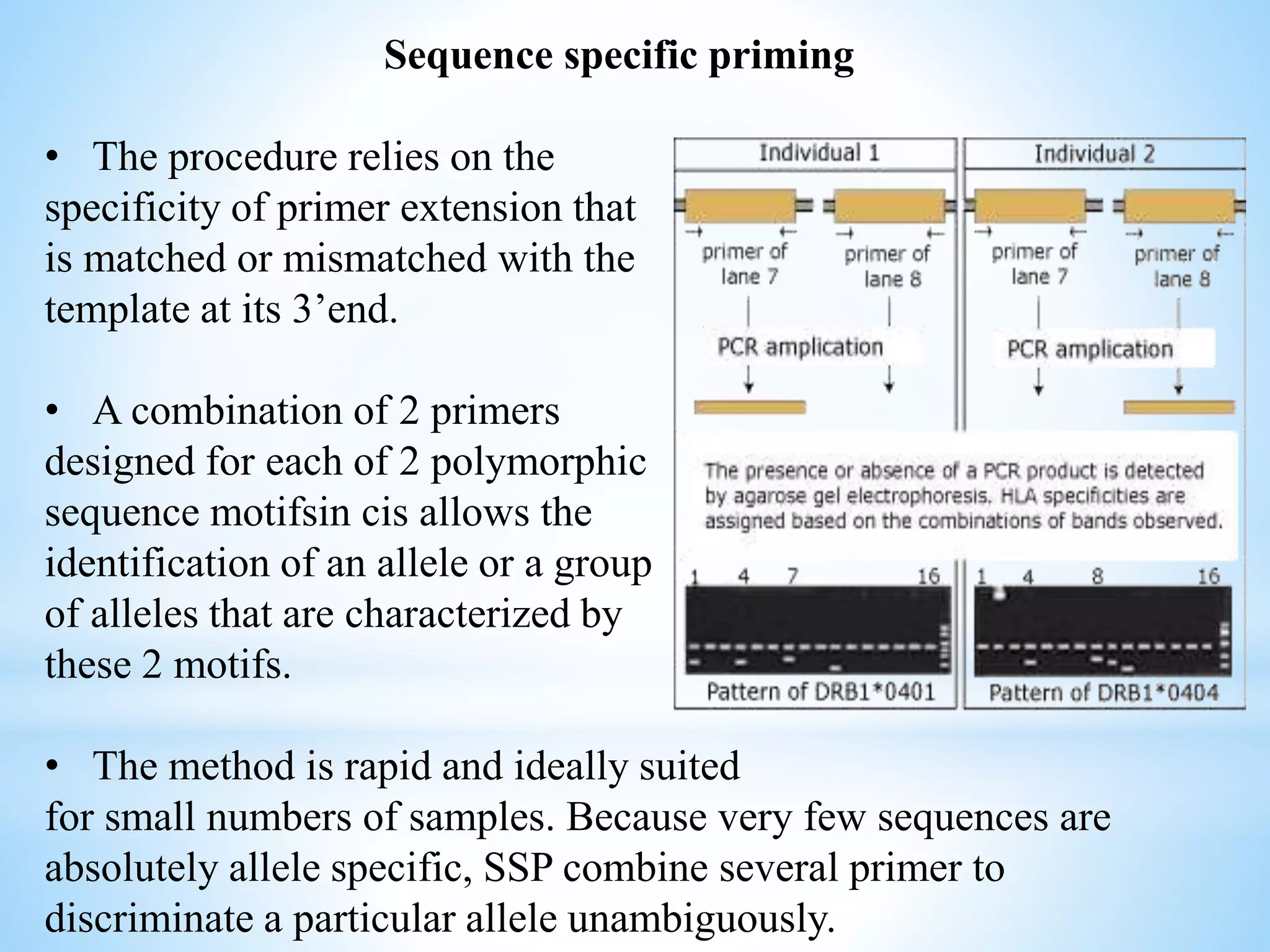 Sequence specific priming
• The procedure relies on the
specificity of primer extension that
is matched or mismatched with the
template at its 3’end.
• A combination of 2 primers
designed for each of 2 polymorphic
sequence motifsin cis allows the
identification of an allele or a group
of alleles that are characterized by
these 2 motifs.
• The method is rapid and ideally suited
for small numbers of samples. Because very few sequences are
absolutely allele specific, SSP combine several primer to
discriminate a particular allele unambiguously.
 