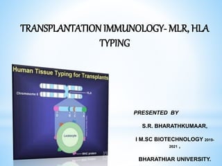 TRANSPLANTATION IMMUNOLOGY- MLR, HLA
TYPING
PRESENTED BY
S.R. BHARATHKUMAAR,
I M.SC BIOTECHNOLOGY 2019-
2021 ,
BHARATHIAR UNIVERSITY.
 
