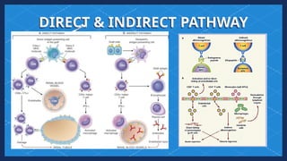 Transplantation Immunology and Pathology | PPTX