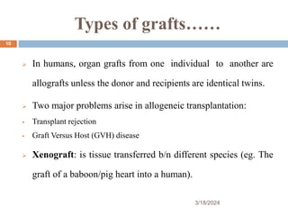 Types of grafts……
 In humans, organ grafts from one individual to another are
allografts unless the donor and recipients are identical twins.
 Two major problems arise in allogeneic transplantation:
 Transplant rejection
 Graft Versus Host (GVH) disease
 Xenograft: is tissue transferred b/n different species (eg. The
graft of a baboon/pig heart into a human).
3/18/2024
10
 