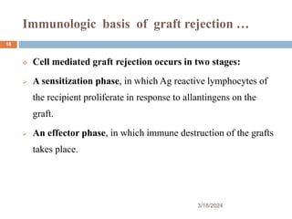 Immunologic basis of graft rejection …
 Cell mediated graft rejection occurs in two stages:
 A sensitization phase, in which Ag reactive lymphocytes of
the recipient proliferate in response to allantingens on the
graft.
 An effector phase, in which immune destruction of the grafts
takes place.
3/18/2024
16
 