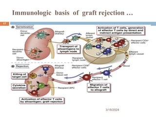 Immunologic basis of graft rejection …
3/18/2024
17
 