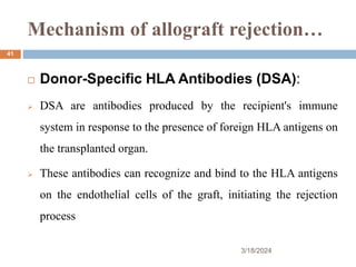 Mechanism of allograft rejection…
3/18/2024
41
 Donor-Specific HLA Antibodies (DSA):
 DSA are antibodies produced by the recipient's immune
system in response to the presence of foreign HLA antigens on
the transplanted organ.
 These antibodies can recognize and bind to the HLA antigens
on the endothelial cells of the graft, initiating the rejection
process
 