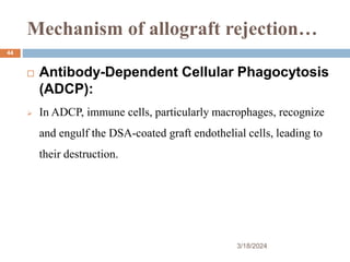 Mechanism of allograft rejection…
3/18/2024
44
 Antibody-Dependent Cellular Phagocytosis
(ADCP):
 In ADCP, immune cells, particularly macrophages, recognize
and engulf the DSA-coated graft endothelial cells, leading to
their destruction.
 