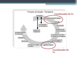 Coordenador do Tx
Coordenador do
Tx
 