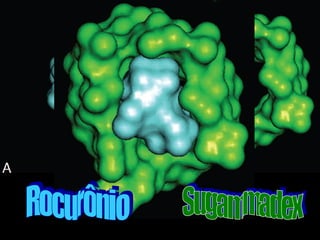 Rocurônio Sugammadex 