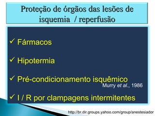 Murry  et al ., 1986 Proteção de órgãos das lesões de isquemia  / reperfusão Fármacos Hipotermia Pré-condicionamento isquêmico I / R por clampagens intermitentes 