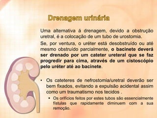 Uma alternativa á drenagem, devido a obstrução
uretral, é a colocação de um tubo de urostomia.
Se, por ventura, o uréter está desobstruído ou até
mesmo obstruído parcialmente, o bacinete deverá
ser drenado por um cateter ureteral que se faz
progredir para cima, através de um cistoscópio
pelo uréter até ao bacinete.
• Os cateteres de nefrostomia/uretral deverão ser
bem fixados, evitando a expulsão acidental assim
como um traumatismo nos tecidos .
 Os orifícios feitos por estes tubos são essencialmente
fístulas que rapidamente diminuem com a sua
remoção.

 