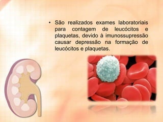 • São realizados exames laboratoriais
para contagem de leucócitos e
plaquetas, devido à imunossupressão
causar depressão na formação de
leucócitos e plaquetas.

 