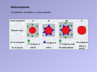 Alotransplante
- Os glóbulos vermellos: un caso especial.
 