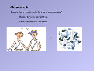 Alotransplante
- Como evitar o rexeitamento do órgano transplantado?
- Buscar donantes compatibles.
- Fármacos inmunosupresores.
+
 