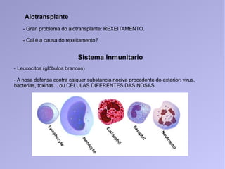 Alotransplante
- Gran problema do alotransplante: REXEITAMENTO.
- Cal é a causa do rexeitamento?
Sistema Inmunitario
- Leucocitos (glóbulos brancos)
- A nosa defensa contra calquer substancia nociva procedente do exterior: virus,
bacterias, toxinas... ou CÉLULAS DIFERENTES DAS NOSAS
 