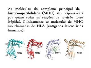 As moléculas do complexo principal de
histocompatibilidade (MHC) são responsáveis
por quase todas as reações de rejeição forte
(rápida). Clinicamente, as moléculas do MHC
são chamadas de HLA (antígenos leucociários
humanos).
 