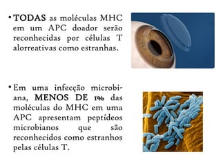 ●
TODAS as moléculas MHC
em um APC doador serão
reconhecidas por células T
alorreativas como estranhas.
●
Em uma infecção microbi-
ana, MENOS DE 1% das
moléculas do MHC em uma
APC apresentam peptídeos
microbianos que são
reconhecidos como estranhos
pelas células T.
 