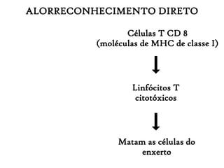 ALORRECONHECIMENTO DIRETO
Células T CD 8
(moléculas de MHC de classe I)
Linfócitos T
citotóxicos
Matam as células do
enxerto
 