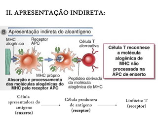 II. APRESENTAÇÃO INDIRETA:
Célula
apresentadora do
antígeno
(enxerto)
Linfócito T
(receptor)
Célula produtora
de antígeno
(receptor)
 