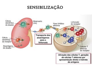 SENSIBILIZAÇÃO
 