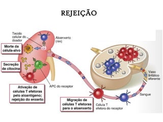 REJEIÇÃO
 