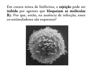 Em cutura mista de linfócitos, a rejeição pode ser
inibida por agentes que bloqueiam as moléculas
B7. Por que, então, na ausência de infecção, estes
co-estimuladores são expressos?
 