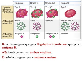 B: herda um gene que gera D-galactosiltransferase, que gera o
antígeno B.
AB: herda genes para as duas enzimas.
O: não herda genes para nenhuma enzima.
 