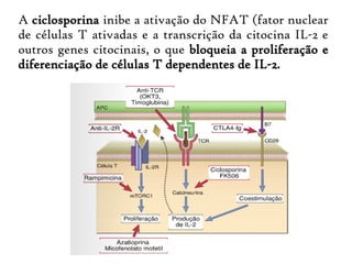 A ciclosporina inibe a ativação do NFAT (fator nuclear
de células T ativadas e a transcrição da citocina IL-2 e
outros genes citocinais, o que bloqueia a proliferação e
diferenciação de células T dependentes de IL-2.
 