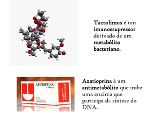 Azatioprina é um
antimetabólito que inibe
uma enzima que
participa da síntese do
DNA.
Tacrolimus é um
imunossupressor
derivado de um
metabólito
bacteriano.
 