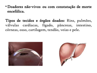 
Doadores não-vivos  ou com constatação de morte
encefálica.
Tipos de tecidos e órgãos doados: Rins, pulmões,
válvulas cardíacas, fígado, pâncreas, intestino,
córneas, osso, cartilagem, tendão, veias e pele.
 