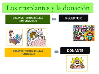 ÓRGANOS, TEJIDOS, CÉLULAS
(NO FUNCIONAN)
ÓRGANOS, TEJIDOS, CÉLULAS
(FUNCIONAN)
RECEPTOR
DONANTE
Los trasplantes y la donación
 