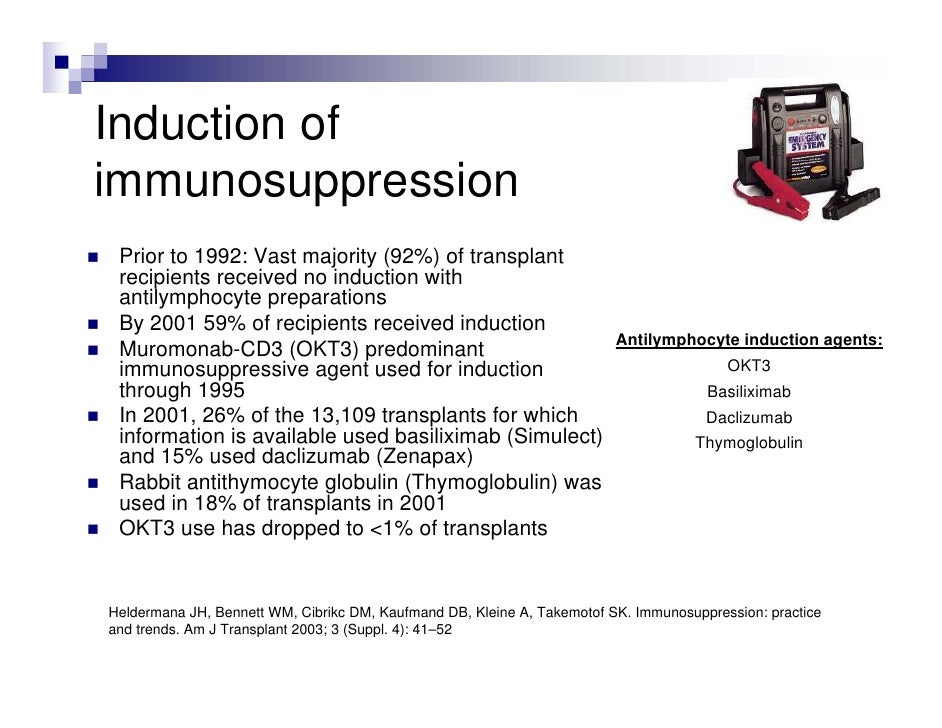 The Untold Story Of Immunosuppressants In Transplant Surgery - n8osx5u
