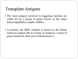 Transplant Antigens
 The main antigens involved in triggering rejection are
coded for by a group of genes known as the major
histocompatibility complex (MHC).
 In humans, the MHC complex is known as the human
leukocyte antigen (HLA) system. It comprises a series of
genes located on short arm of chromosome 6.
 