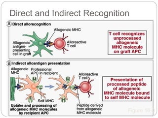 Direct and Indirect Recognition
Figure 16-3
 