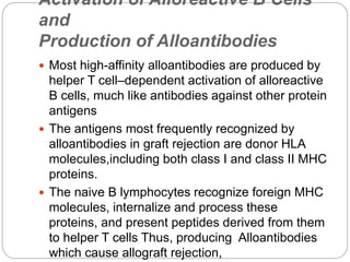 Activation of Alloreactive B Cells
and
Production of Alloantibodies
 Most high-affinity alloantibodies are produced by
helper T cell–dependent activation of alloreactive
B cells, much like antibodies against other protein
antigens
 The antigens most frequently recognized by
alloantibodies in graft rejection are donor HLA
molecules,including both class I and class II MHC
proteins.
 The naive B lymphocytes recognize foreign MHC
molecules, internalize and process these
proteins, and present peptides derived from them
to helper T cells Thus, producing Alloantibodies
which cause allograft rejection,
 