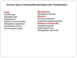 Common Types of Infecting Microbial Agents after Transplantation
Fungi
Candida spp.
Aspergillus spp.
Cryptococcus
Agents of mucormycoses
Histoplasma capsulatum
Coccidioides immitis
Pneumocystis jirovecii
Mycoplasmas
Mycoplasma hominis
Ehrlichia
Ehrlichia chafeensis
Anaplasma phagocytophilum
Protozoa and Parasites
Toxoplasma gondii
Trypanosoma cruzi
Strongyloides stercoralis
 