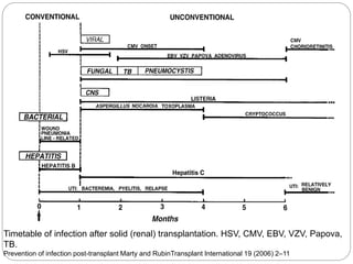 Timetable of infection after solid (renal) transplantation. HSV, CMV, EBV, VZV, Papova,
TB.
Prevention of infection post-transplant Marty and RubinTransplant International 19 (2006) 2–11
 