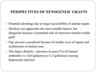 PERSPECTIVES OF XENOGENEIC GRAFTS
• Potential advantage due to larger accessibility of animal organs
• Monkeys are apparently the most suitable donors, but
dangerous because of potential risk of retrovirus transfer within
graft
• Pigs are now considered because of similar sizes of organs and
erythrocytes to human ones
• The major obstacle – presence in man (1%) of natural
antibodies vs. Gal (galactose--1,3-galactose) causing
hyperacute rejection
 