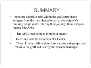 SUMMARY
• Immature dendritic cells within the graft carry donor
antigens from the transplanted organ to the recipient’s
draining lymph nodes ; during their journey, these antigens
mature into APCs
• The APCs then home to lymphoid organs
• Here they activate the recipient’s T cells.
• These T cells differentiate into various subgroups and
return to the graft and destroy the transplanted organ
 