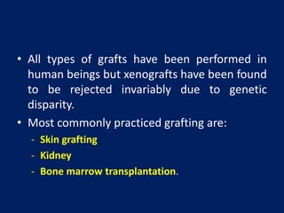 • All types of grafts have been performed in
human beings but xenografts have been found
to be rejected invariably due to genetic
disparity.
• Most commonly practiced grafting are:
- Skin grafting
- Kidney
- Bone marrow transplantation.
 