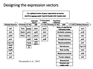 Transplastomics in Vegetable Crops.pptx