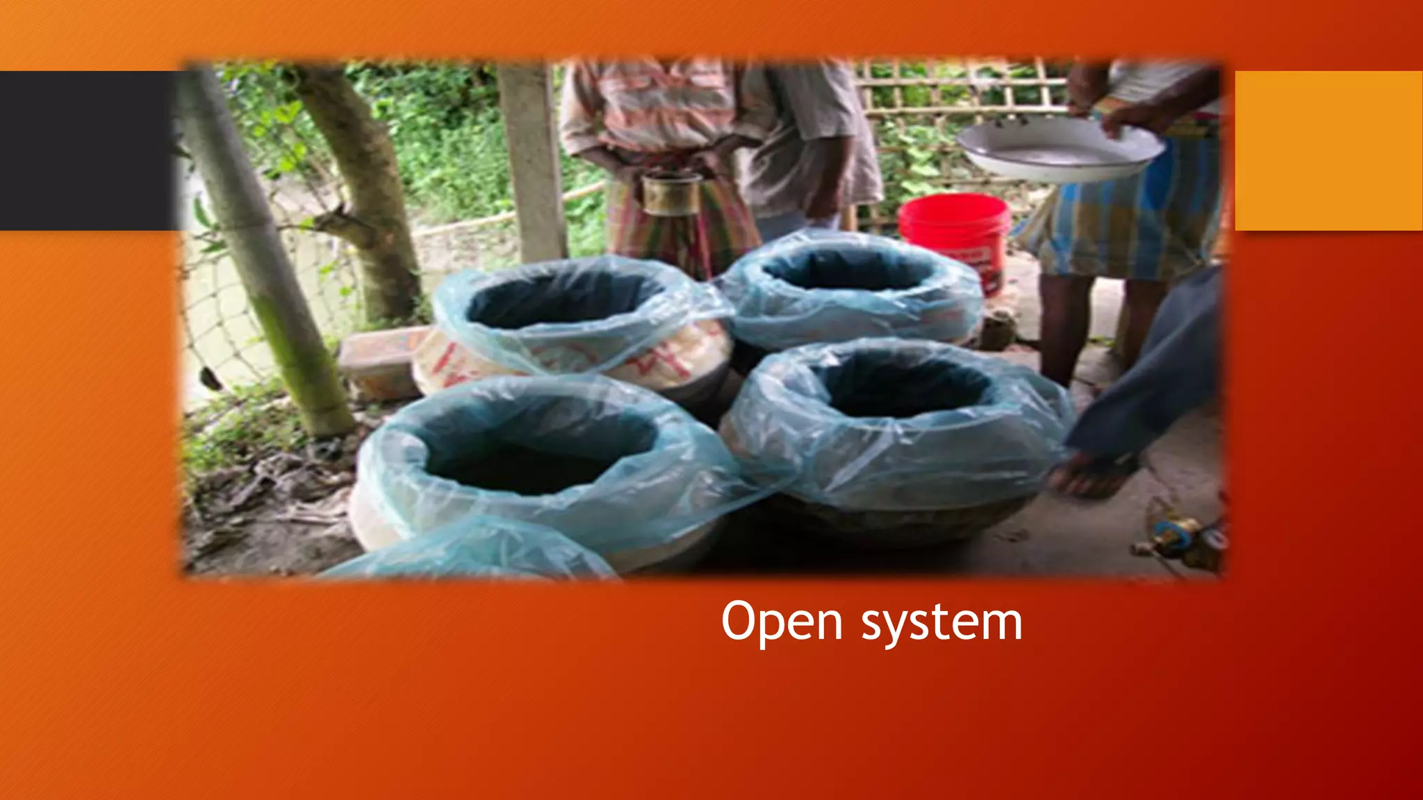 Transporation of fish seed | PPTX