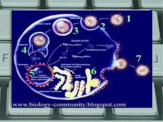  transport bulk endocytosis