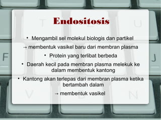Endositosis


Mengambil sel molekul biologis dan partikel

→ membentuk vasikel baru dari membran plasma






Protein yang terlibat berbeda

Daerah kecil pada membran plasma melekuk ke
dalam membentuk kantong

Kantong akan terlepas dari membran plasma ketika
bertambah dalam
→ membentuk vasikel

 