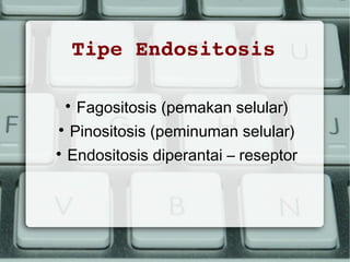 Tipe Endositosis




Fagositosis (pemakan selular)

Pinositosis (peminuman selular)
Endositosis diperantai – reseptor

 